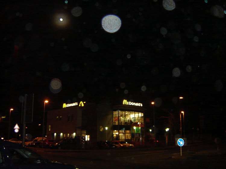 dsc00073.jpg